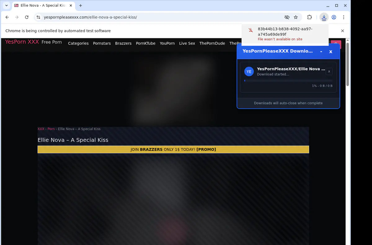 Yespornpleasexxx Video Downloader browser extension screenshot 2