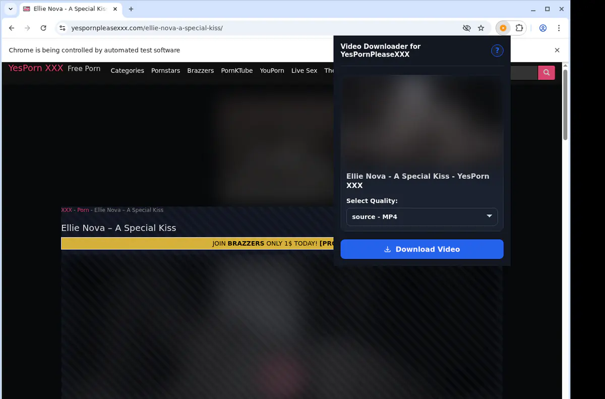 Yespornpleasexxx Video Downloader browser extension screenshot 3