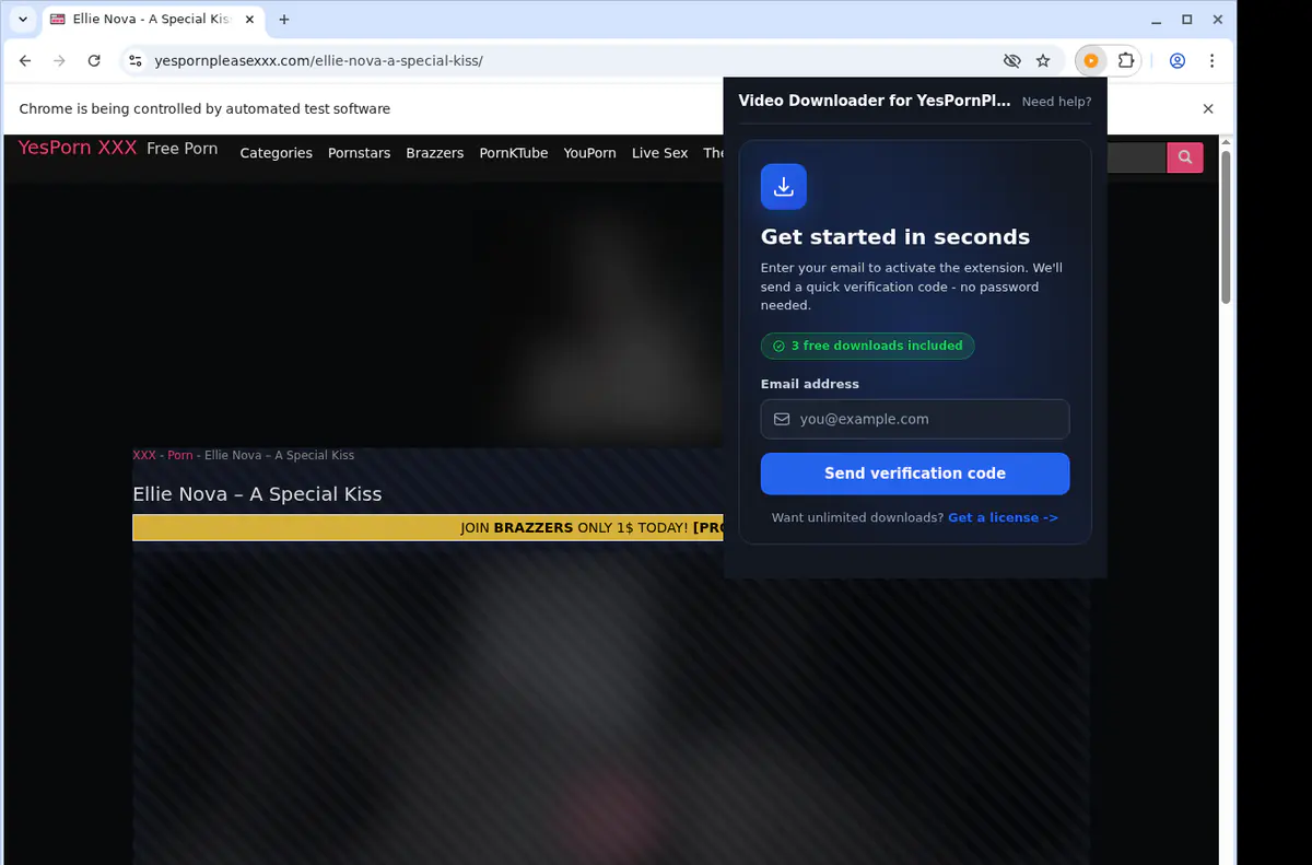 Yespornpleasexxx Video Downloader browser extension screenshot 5